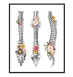 Orthopedic Human Anatomy Medical Poster - Spine, Back, Backbone Wall Art Decor for Doctor Office, Clinic - Gift for ER Nurse, RN, CNA, Physicians Assistant, Physical Therapist, Chiropractic Dr