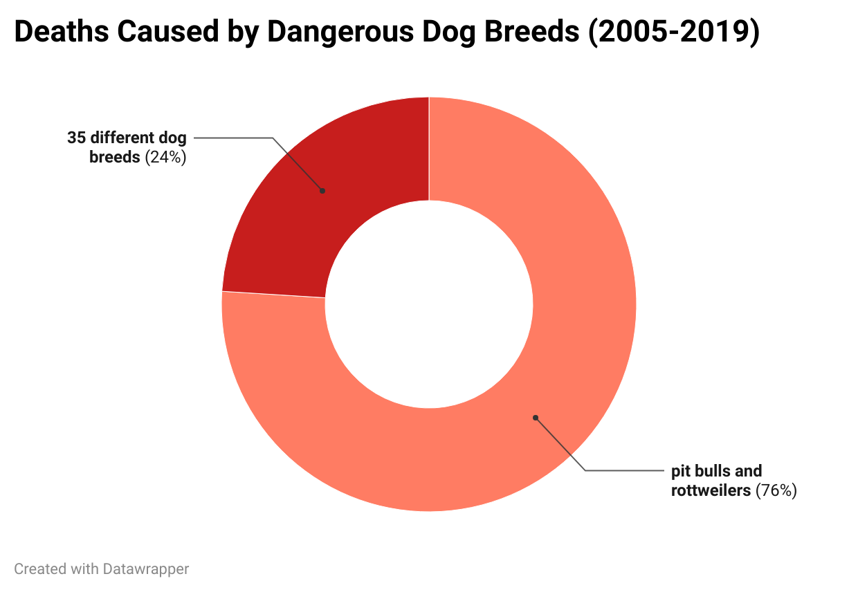 Deaths Caused by Dangerous Dog Breeds 2005-2019