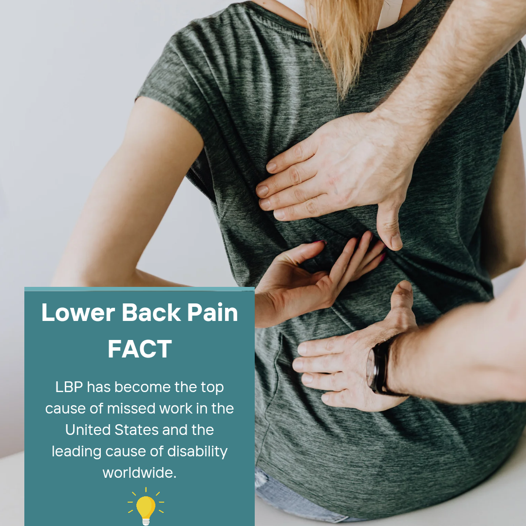 Lower back pain Fact