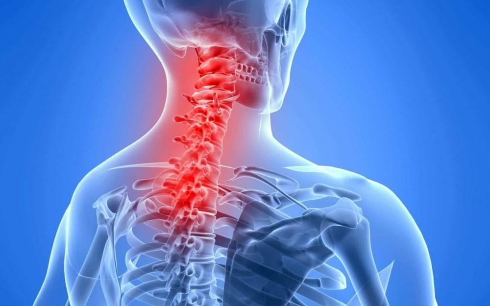 Understanding Neck and Shoulder Pain